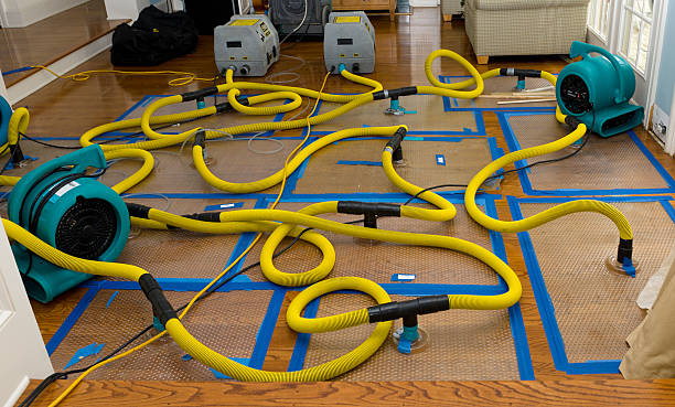 Professional Storm Water Damage Restoration technician working in Beallsville, PA